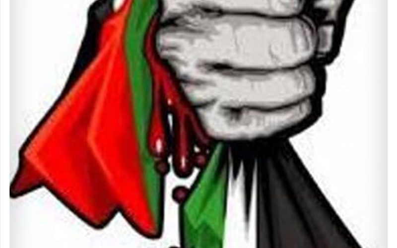 فلسطين الحبيبة…. رحمة الله على شهدائك الأبرياء الأبرار